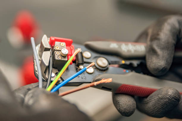 Best Electrician for Home Renovation  in Nd Lake, WI